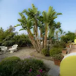 Capizzo 3* Forio di Ischia