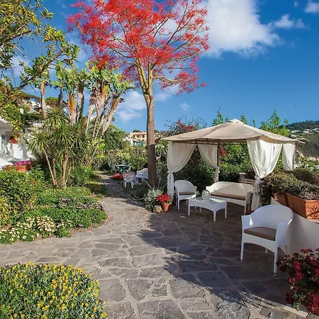 Capizzo Forio (Isola d'Ischia)